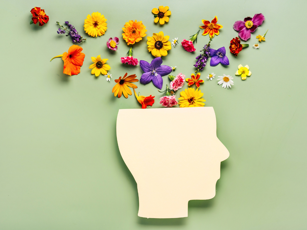 Brainberry®: Nesi's Secret Ingredient for Enhancing Cognitive Function
